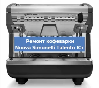 Чистка кофемашины Nuova Simonelli Talento 1Gr от кофейных масел в Екатеринбурге